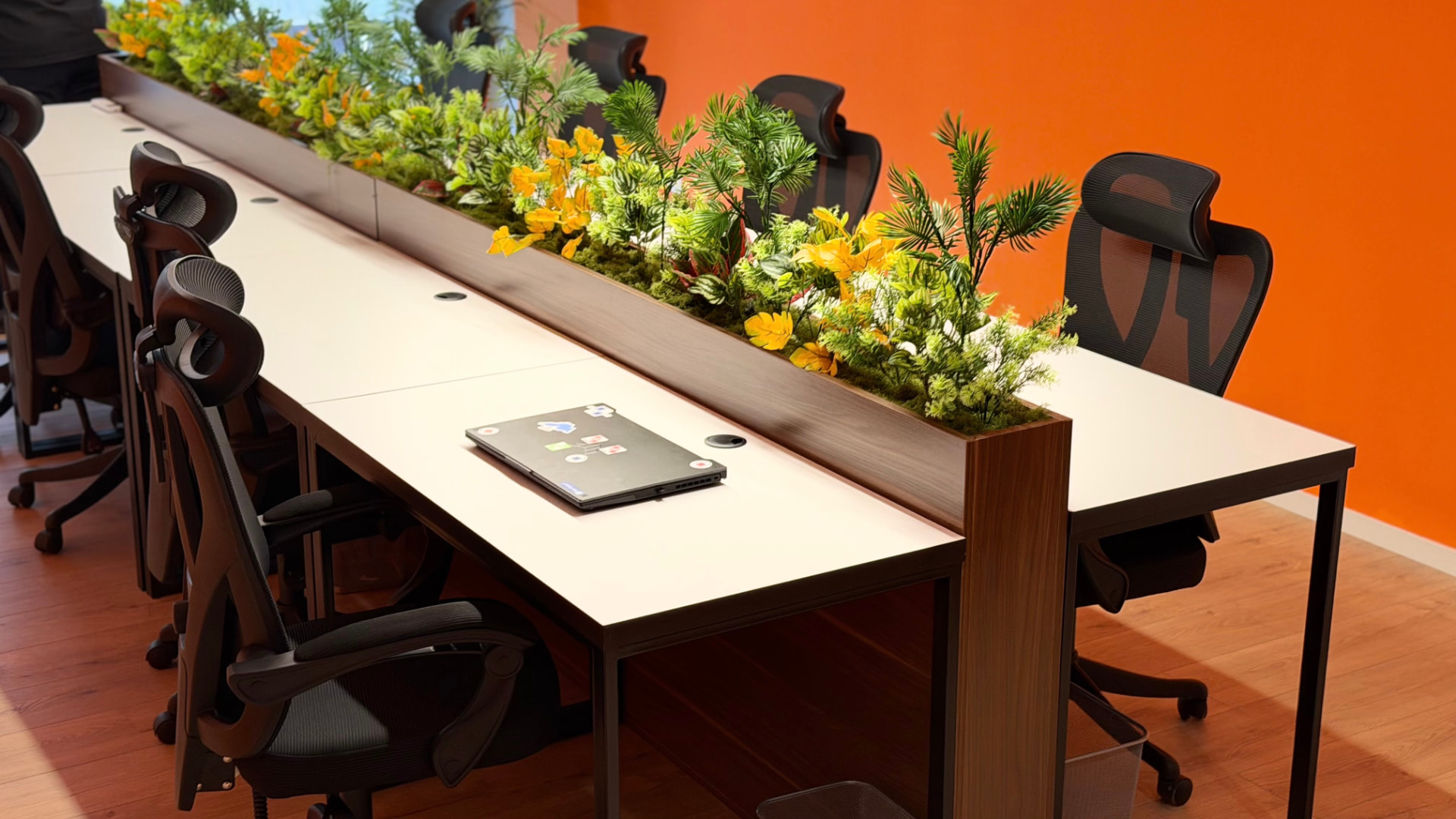 A laptop at a desk by the planter