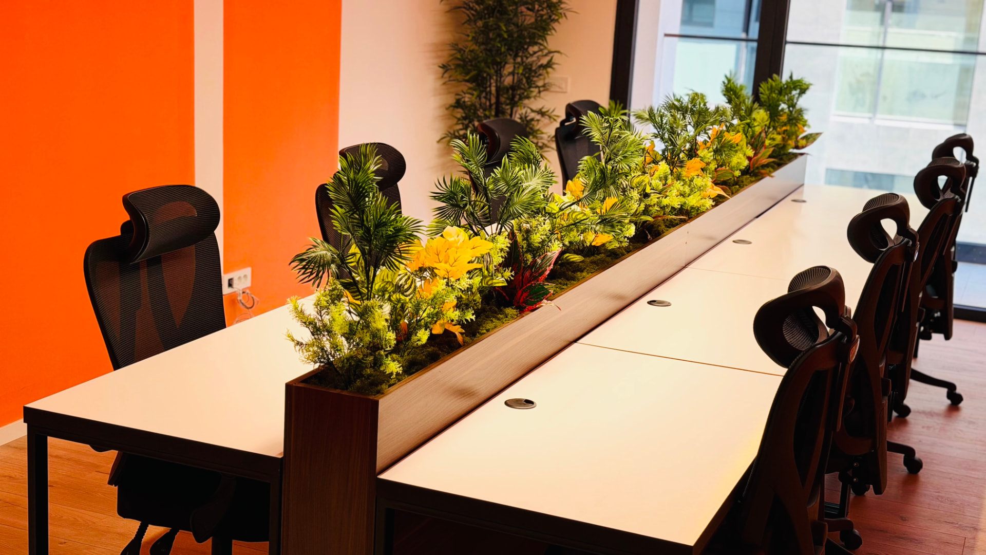 The planted shared desk in the main room